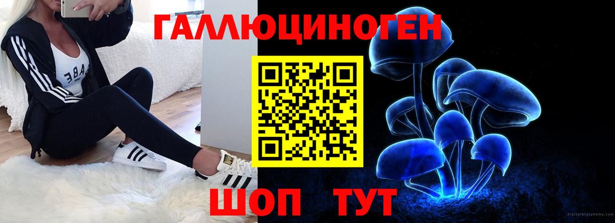Псилоцибиновые грибы Psilocybine cubensis Выкса