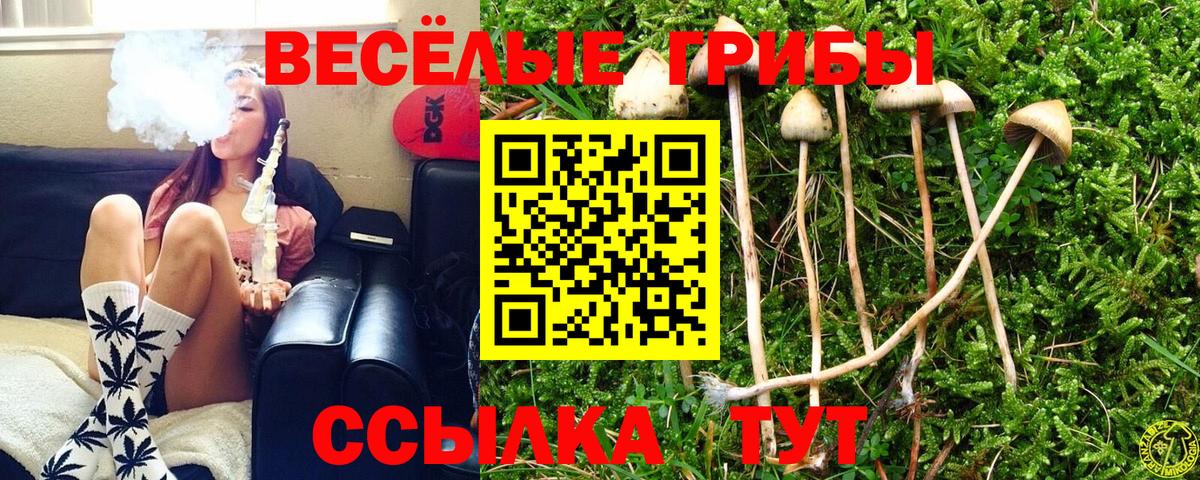 Выкса  Галлюциногенные грибы MAGIC MUSHROOMS  Вход с VPN  Псилоцибиновые грибы Magic Shrooms 