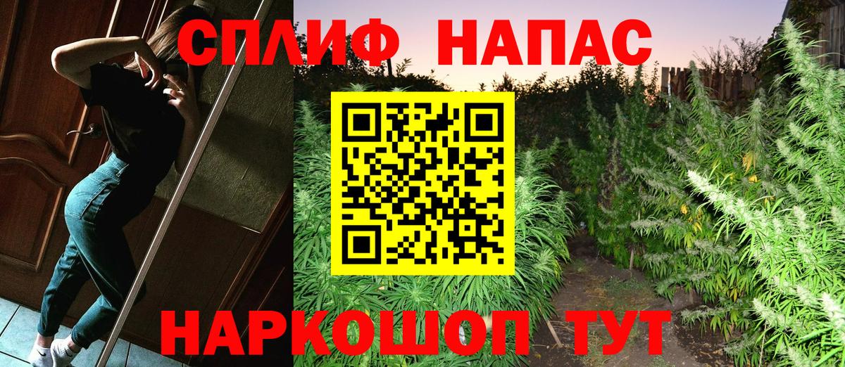 Канабис планчик  Каннабис сатива  МАРИХУАНА индика  Вход с VPN  Выкса 